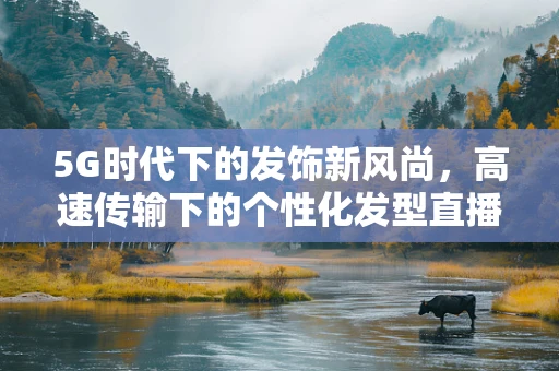 5G时代下的发饰新风尚，高速传输下的个性化发型直播