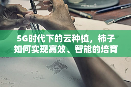 5G时代下的云种植，柿子如何实现高效、智能的培育？