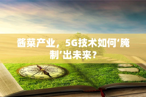 酱菜产业，5G技术如何‘腌制’出未来？