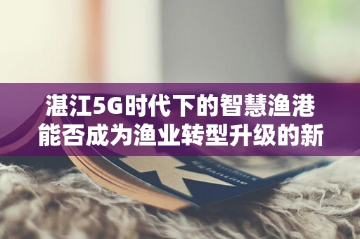 湛江5G时代下的智慧渔港能否成为渔业转型升级的新引擎？