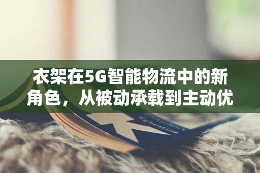 衣架在5G智能物流中的新角色，从被动承载到主动优化的飞跃