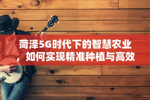 菏泽5G时代下的智慧农业，如何实现精准种植与高效管理？