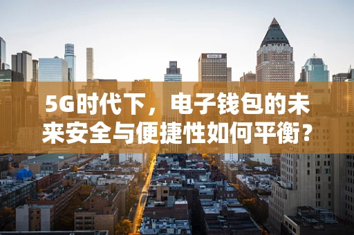 5G时代下，电子钱包的未来安全与便捷性如何平衡？