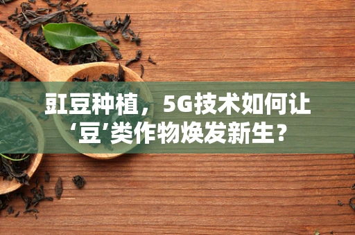 豇豆种植，5G技术如何让‘豆’类作物焕发新生？
