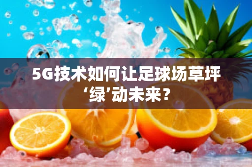 5G技术如何让足球场草坪‘绿’动未来？
