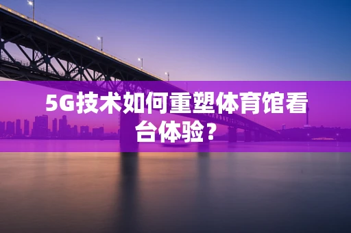 5G技术如何重塑体育馆看台体验？