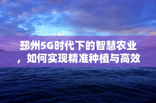 邳州5G时代下的智慧农业，如何实现精准种植与高效管理？