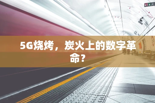 5G烧烤，炭火上的数字革命？