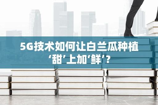 5G技术如何让白兰瓜种植‘甜’上加‘鲜’？