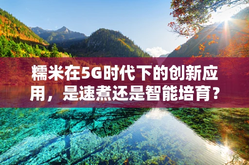 糯米在5G时代下的创新应用，是速煮还是智能培育？