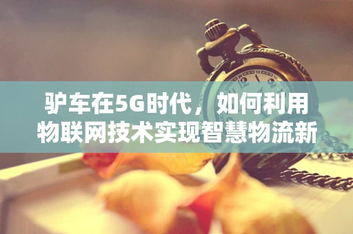 驴车在5G时代，如何利用物联网技术实现智慧物流新篇章？