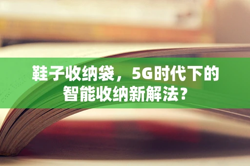 鞋子收纳袋，5G时代下的智能收纳新解法？