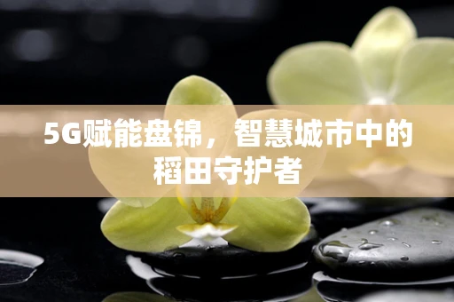 5G赋能盘锦，智慧城市中的稻田守护者