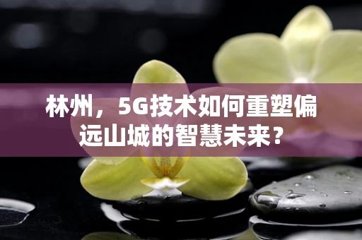 林州，5G技术如何重塑偏远山城的智慧未来？