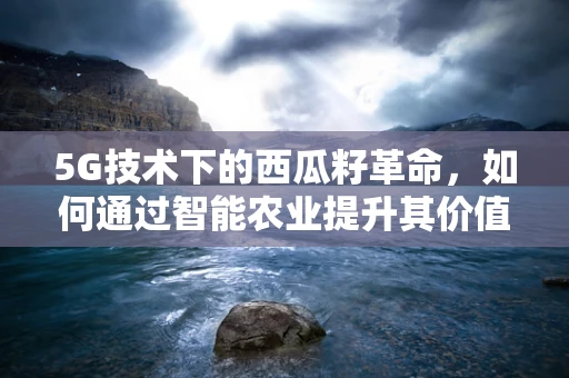 5G技术下的西瓜籽革命，如何通过智能农业提升其价值？