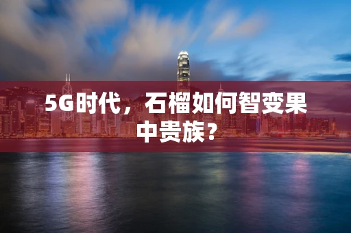 5G时代，石榴如何智变果中贵族？