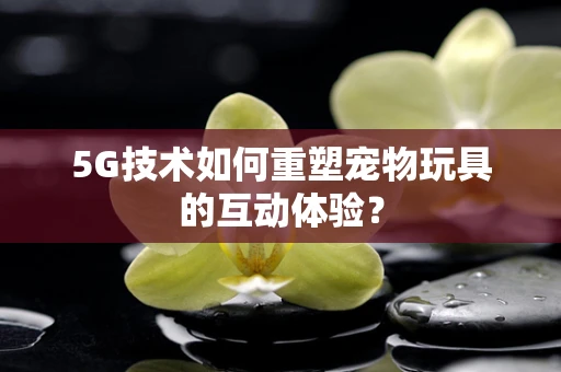 5G技术如何重塑宠物玩具的互动体验？