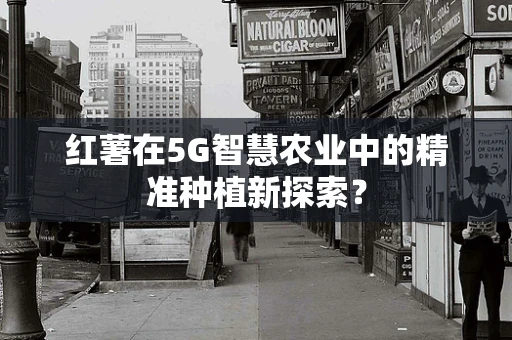 红薯在5G智慧农业中的精准种植新探索？