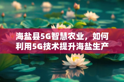 海盐县5G智慧农业，如何利用5G技术提升海盐生产效率？