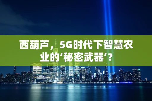 西葫芦，5G时代下智慧农业的‘秘密武器’？