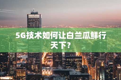 5G技术如何让白兰瓜鲜行天下？