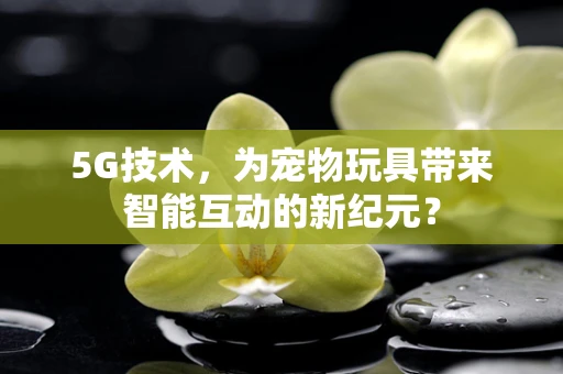5G技术，为宠物玩具带来智能互动的新纪元？