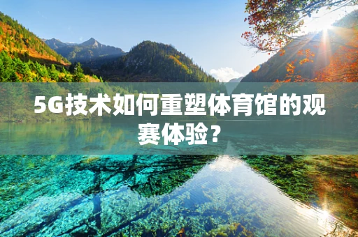 5G技术如何重塑体育馆的观赛体验？