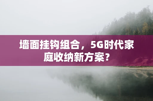 墙面挂钩组合，5G时代家庭收纳新方案？