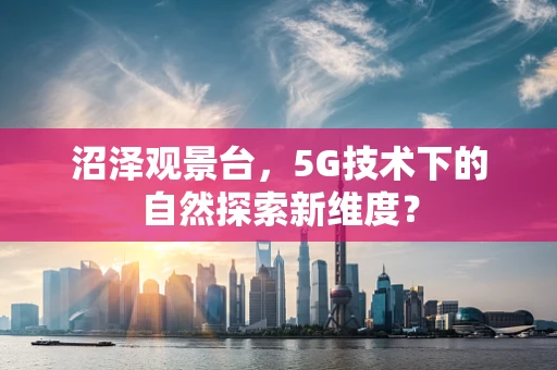 沼泽观景台，5G技术下的自然探索新维度？