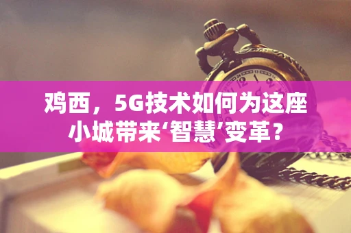 鸡西，5G技术如何为这座小城带来‘智慧’变革？