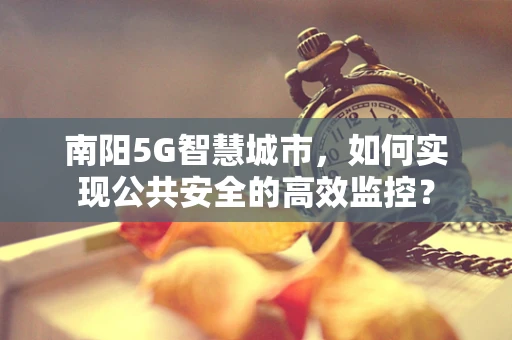 南阳5G智慧城市，如何实现公共安全的高效监控？