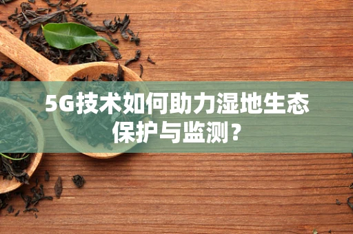 5G技术如何助力湿地生态保护与监测？