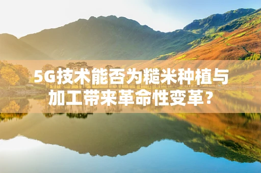 5G技术能否为糙米种植与加工带来革命性变革？