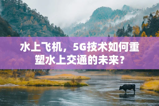 水上飞机，5G技术如何重塑水上交通的未来？