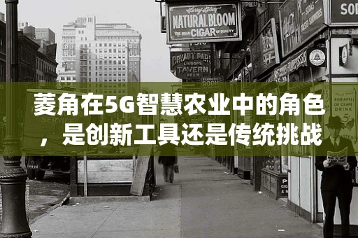 菱角在5G智慧农业中的角色，是创新工具还是传统挑战？