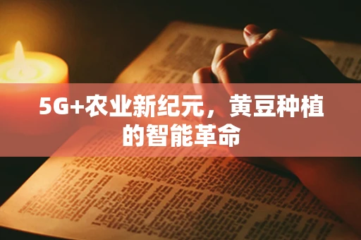 5G+农业新纪元，黄豆种植的智能革命