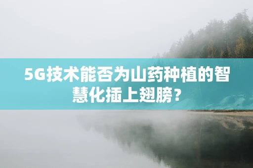 5G技术能否为山药种植的智慧化插上翅膀？