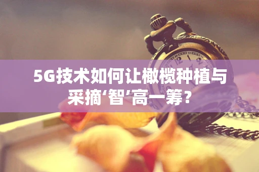 5G技术如何让橄榄种植与采摘‘智’高一筹？