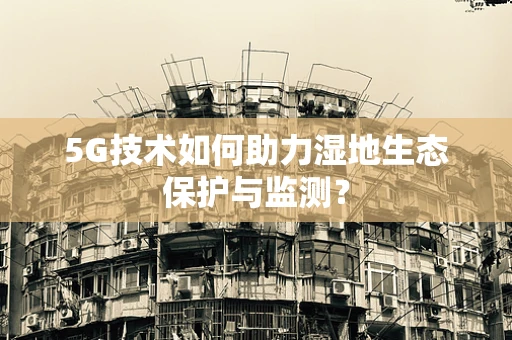 5G技术如何助力湿地生态保护与监测？
