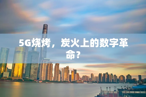 5G烧烤，炭火上的数字革命？