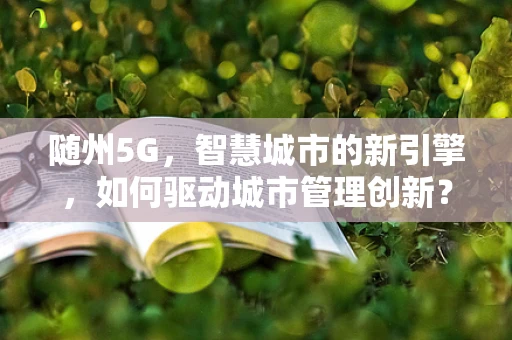 随州5G，智慧城市的新引擎，如何驱动城市管理创新？