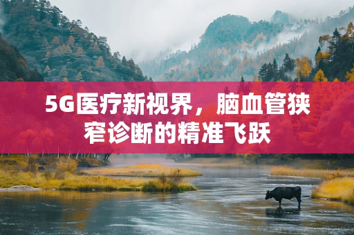 5G医疗新视界，脑血管狭窄诊断的精准飞跃