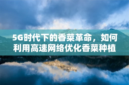 5G时代下的香菜革命，如何利用高速网络优化香菜种植与供应链？