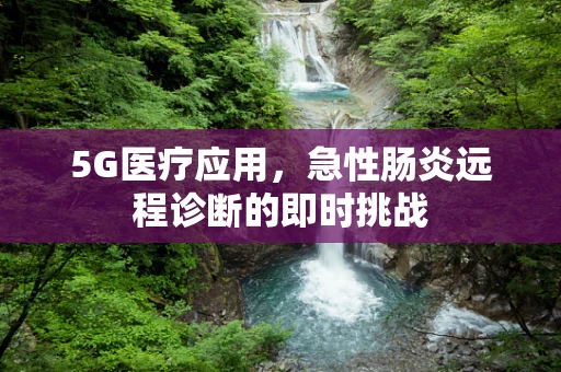 5G医疗应用，急性肠炎远程诊断的即时挑战
