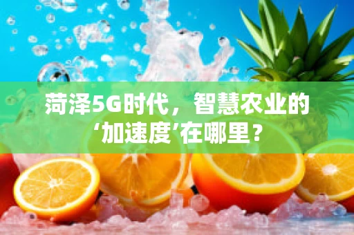 菏泽5G时代，智慧农业的‘加速度’在哪里？