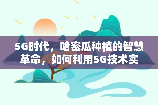 5G时代，哈密瓜种植的智慧革命，如何利用5G技术实现精准农业？