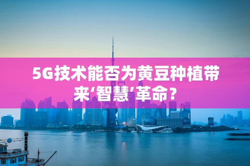 5G技术能否为黄豆种植带来‘智慧’革命？