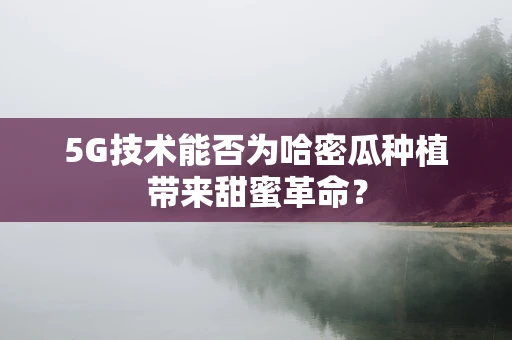 5G技术能否为哈密瓜种植带来甜蜜革命？