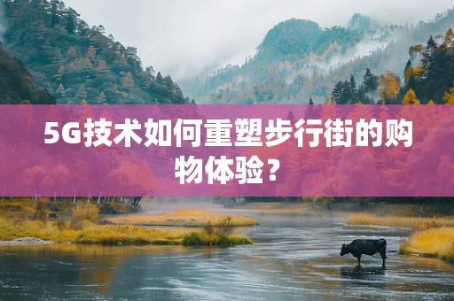 5G技术如何重塑步行街的购物体验？