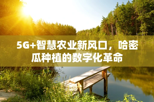 5G+智慧农业新风口，哈密瓜种植的数字化革命
